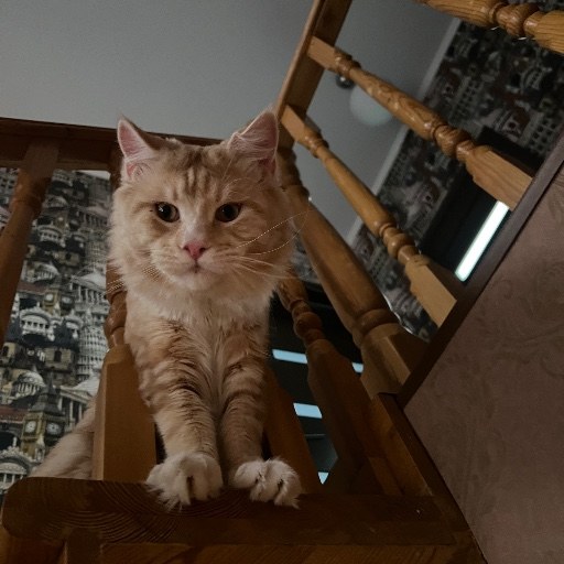 Персик